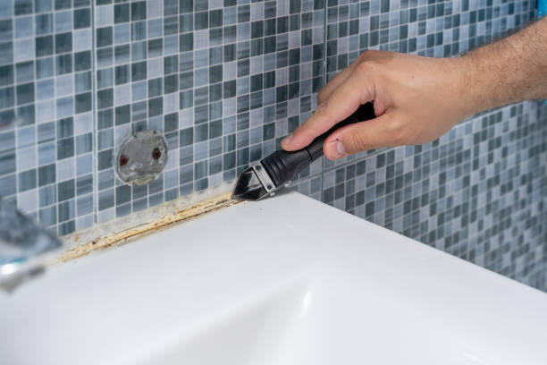 Best Mold Cleaning Services  in Bonne Terre, MO